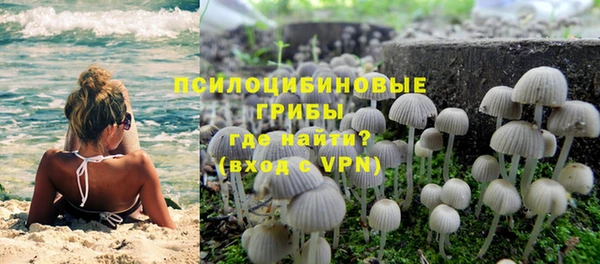 дживик Волоколамск